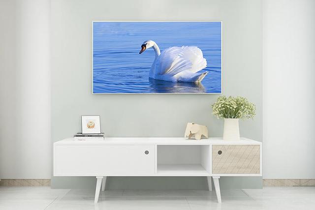 电视机怎么挑选质量好（内行人挑选电视机原来是从这几方面来看）(13)