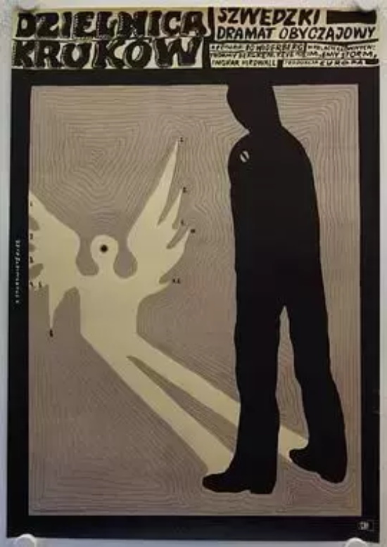 瑞典高分电影有哪些好看的（盘点瑞典评分最高的39部电影）