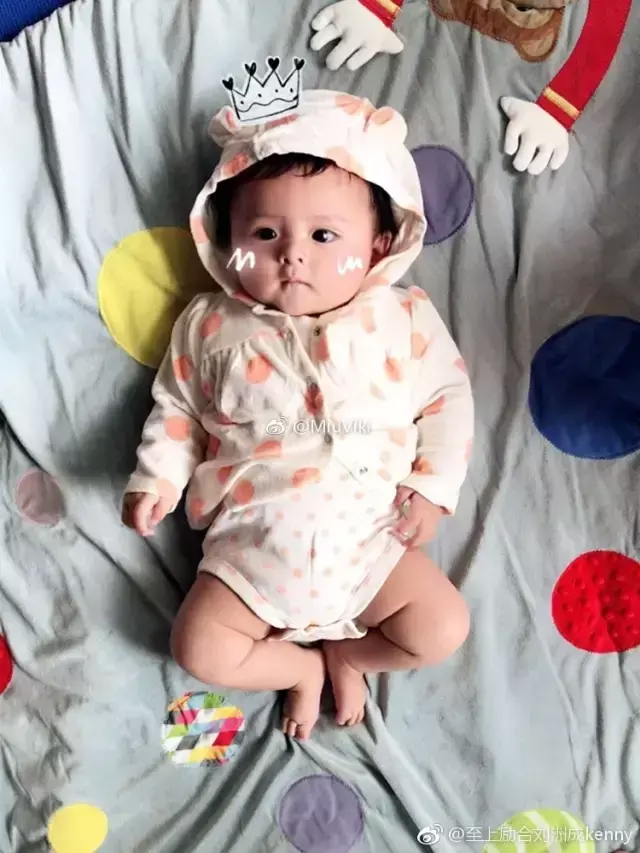 刘洲成打媳妇事件（刘洲成被曝家暴妻子6次致小产）