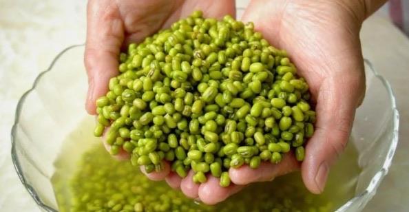 生活秋季十大降火食物排名(入秋吃什么可以降火) 4