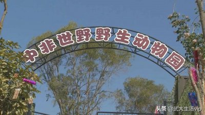 ​厦门:中非世野野生动物园