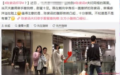 陈紫函方否认怀孕