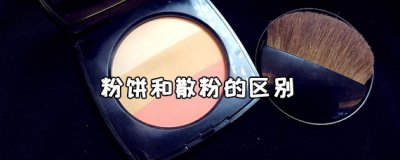 ​粉饼和散粉的区别 粉饼和散粉哪个定妆效果更好