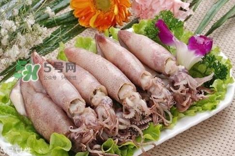 海兔子是什么？海兔子是墨鱼吗