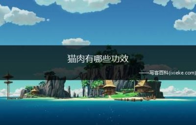 ​猫肉有哪些功效，猫肉有什么功效和作用