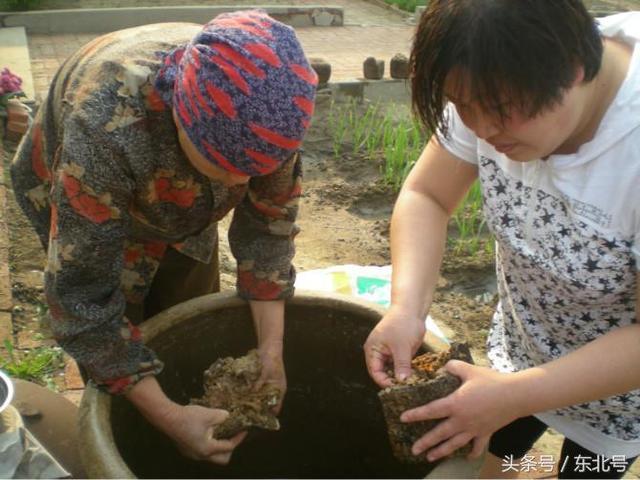 东北人，我来教你下东北大酱