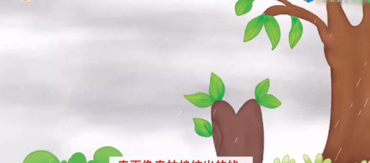 春雨像什么轻轻地落在地上比喻句