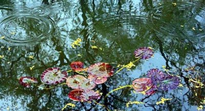 ​春雨就像什么什么一样轻轻地落到地上,春雨就像什么一样轻轻地落在地上落叶就像