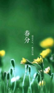 ​春分的寓意，春分古诗寓意？