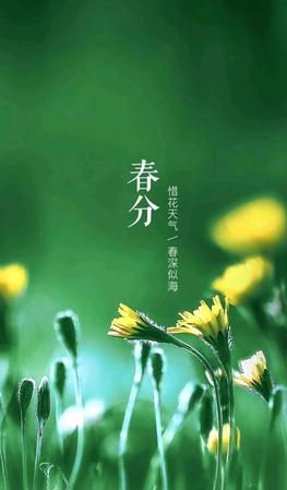 春分古诗寓意