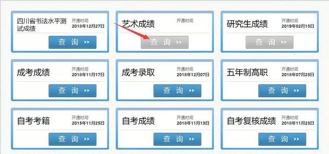 怎么查四川美术联考成绩查询（四川省艺术类联考成绩查询方法）(4)