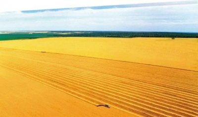 ​北方粮仓是哪个城市,东北粮仓是哪个城市