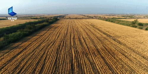 我国粮食主产区在哪些地方