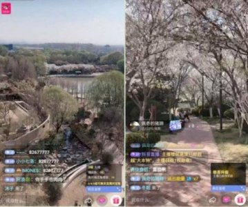 ​大溪地在哪里哪个国家(大溪地在哪个国家?)