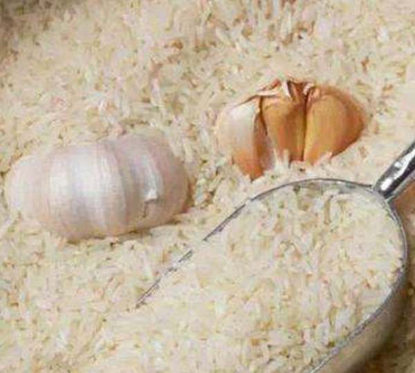 怎样去掉米里面的米虫,怎么消灭大米里面的米虫图2