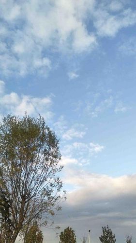 轻轻的我走了正如我轻轻的来了?轻轻的我走了原文-第1张图片-