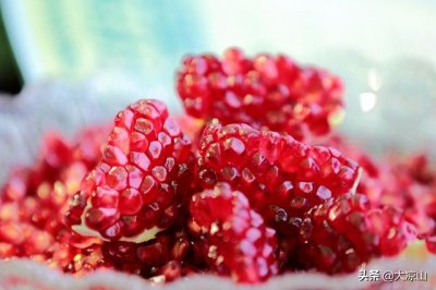 ​会理石榴什么时候开始成熟（9月10日到会理体验丰收的喜悦）