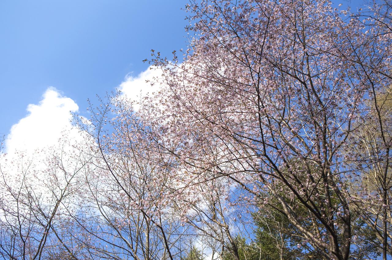 怀男孩平躺是在小腹下还是上 100%生男孩的症状