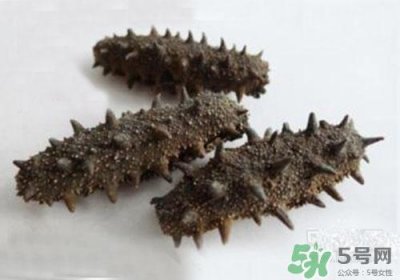 ​海参肚子里的筋能吃吗？海参肚子里的筋吃了有什么作用？