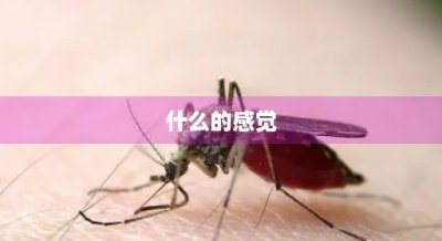 ​什么的感觉(什么的感觉真好作文)