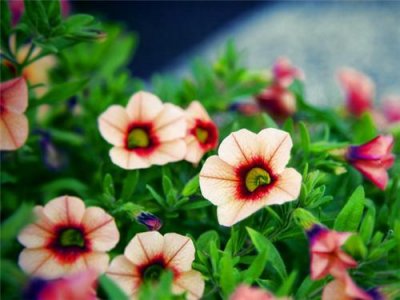 ​有心机的女人，逃不了有这6个表现!