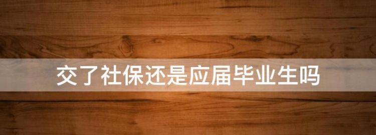 大学期间交过社保毕业算应届吗