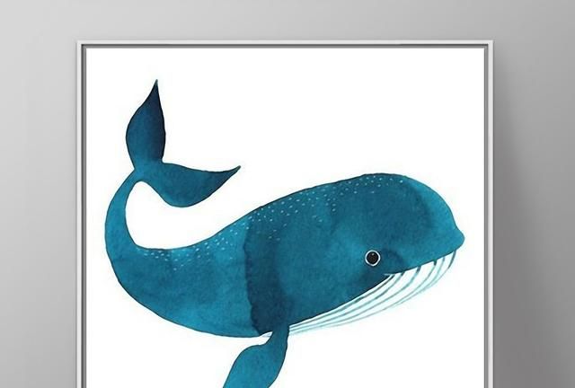 鲸鱼的心跳每分钟多少，鲸鱼一分钟心跳最接近多少下？图1