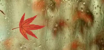 ​女朋友不想和你亲密