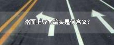 ​路面上导向箭头是何含义?