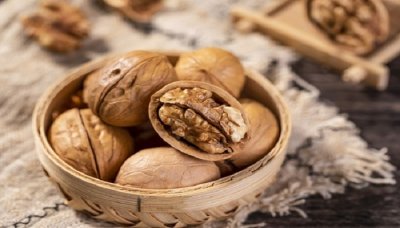 ​核桃壳属于什么垃圾