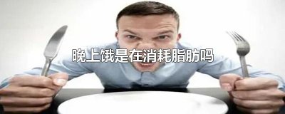​晚上饿是在消耗脂肪吗