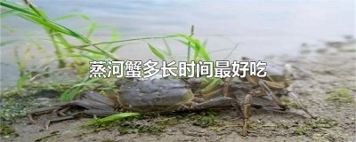​蒸河蟹多长时间最好吃
