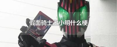 ​假面骑士王小明什么梗