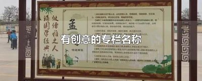 ​有创意的专栏名称