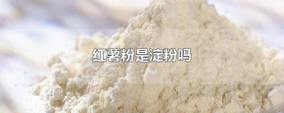 ​红薯粉是淀粉吗