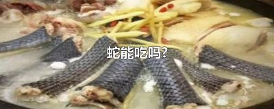 ​蛇能吃吗?
