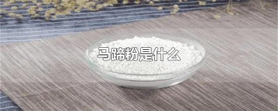 ​马蹄粉是什么