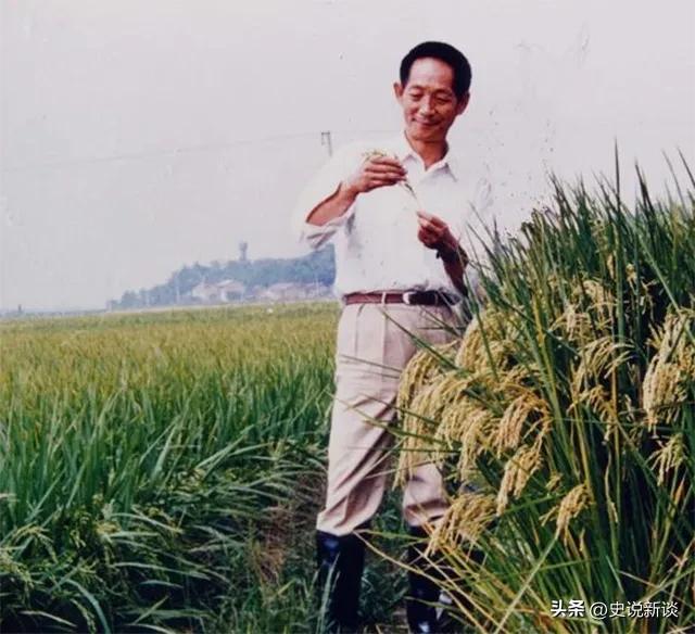水稻之父袁隆平有了新的身份 水稻之子袁定阳(12)