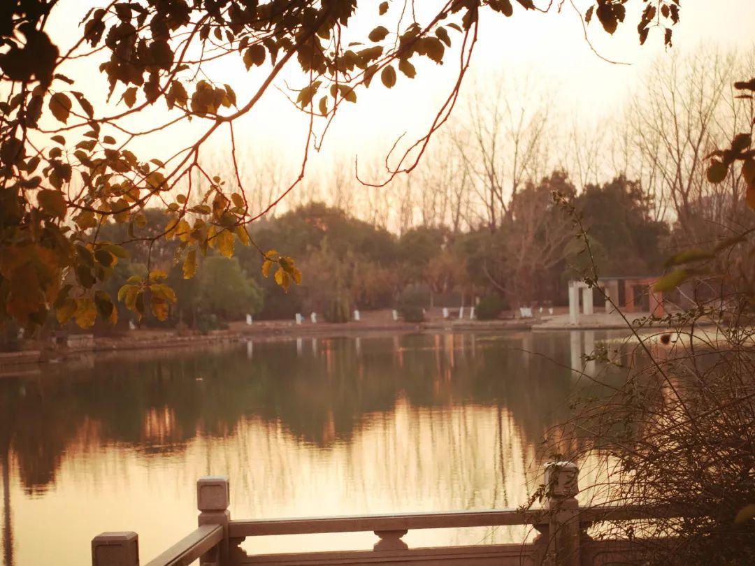 刘禹锡的十大经典名句(刘禹锡的名言名句和意思)