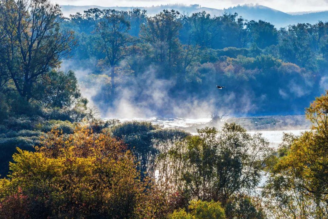 刘禹锡的十大经典名句(刘禹锡的名言名句和意思)