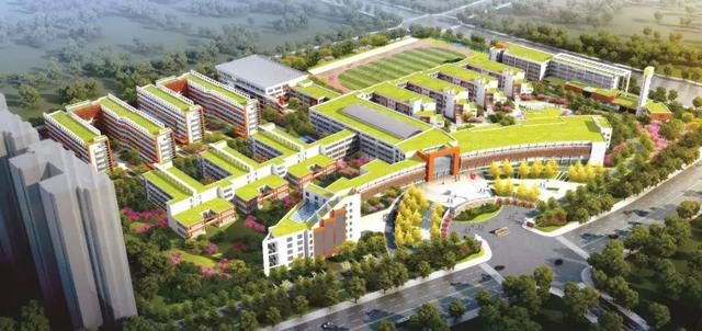 平顶山所有学校排名（平顶山的学子有福啦）(3)