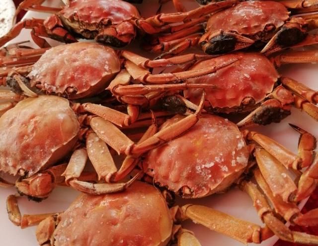 发物的食物有哪些,发性的食物有哪些?图5