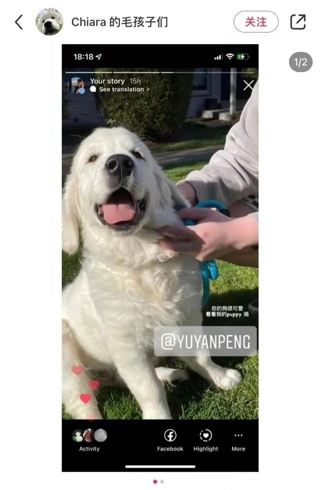 彭于晏真帅什么梗（彭于晏隔离期疯狂翻牌网友）