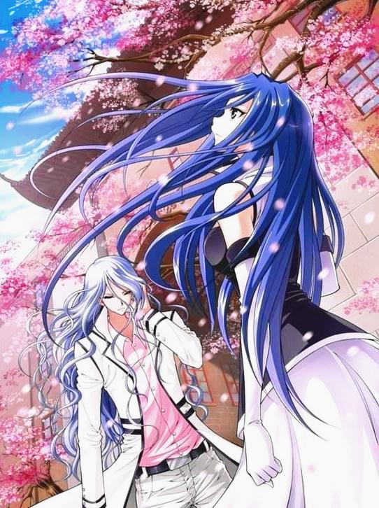 各动漫里的情侣(动漫里众所周知的情侣)(4)