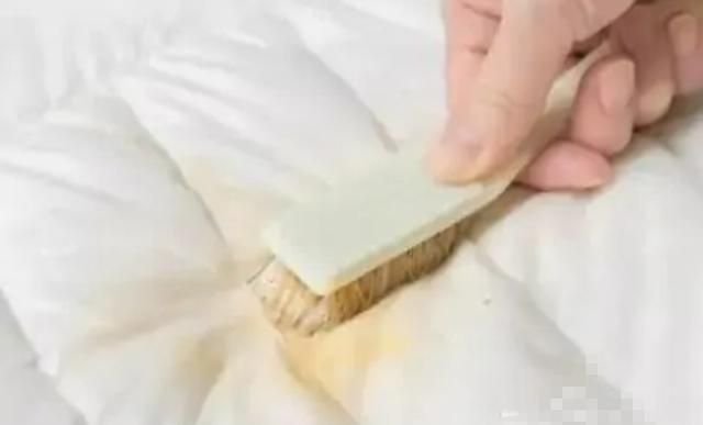 羽绒被可以用多少年,羽绒被能使用多少年?图5