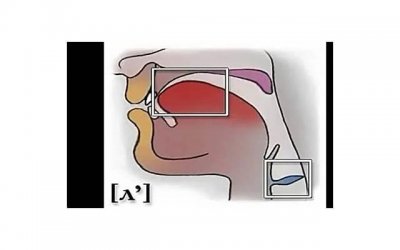 ​双鱼男婚后出轨的表现，双鱼男婚后出轨的原因是什么？
