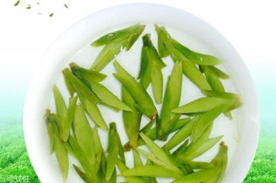 ​绿茶为什么苦 有几个原因