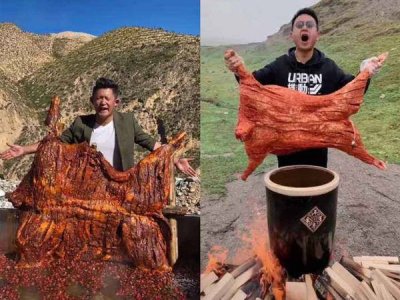 ​抖音雪茸堂和藏地九哥，我们不是网红！