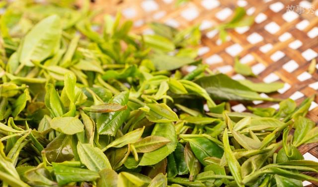 网络图片(侵删)