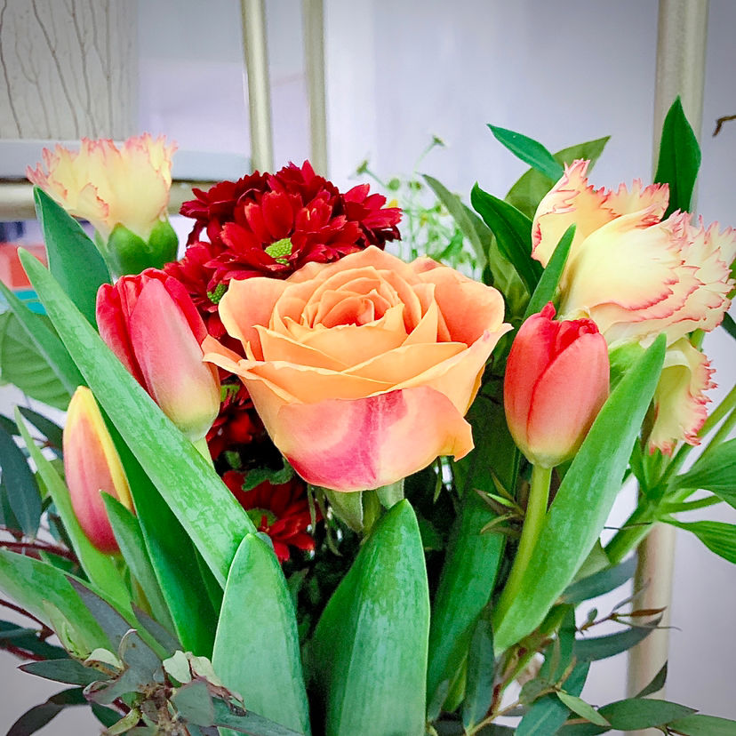 订婚用什么颜色的玫瑰花(婚礼上常用的鲜花推荐)